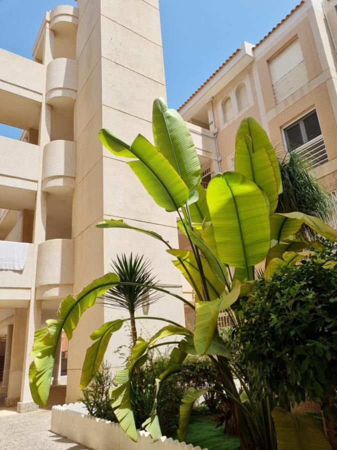 Flamenco Penthouse Sea View & Swimming Pool Apartment Torrevieja Exterior foto